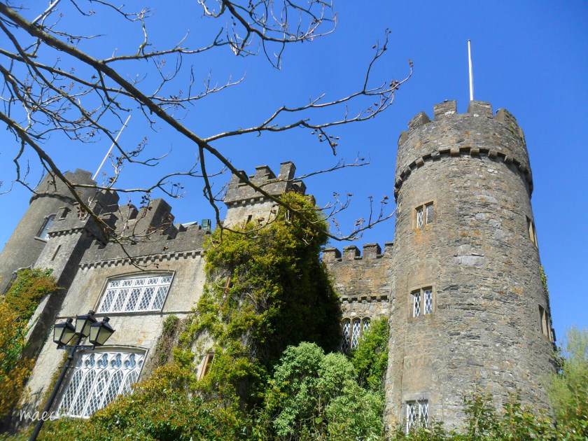 castle with twig