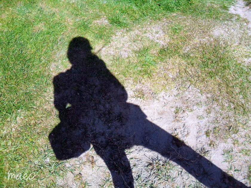 shadow