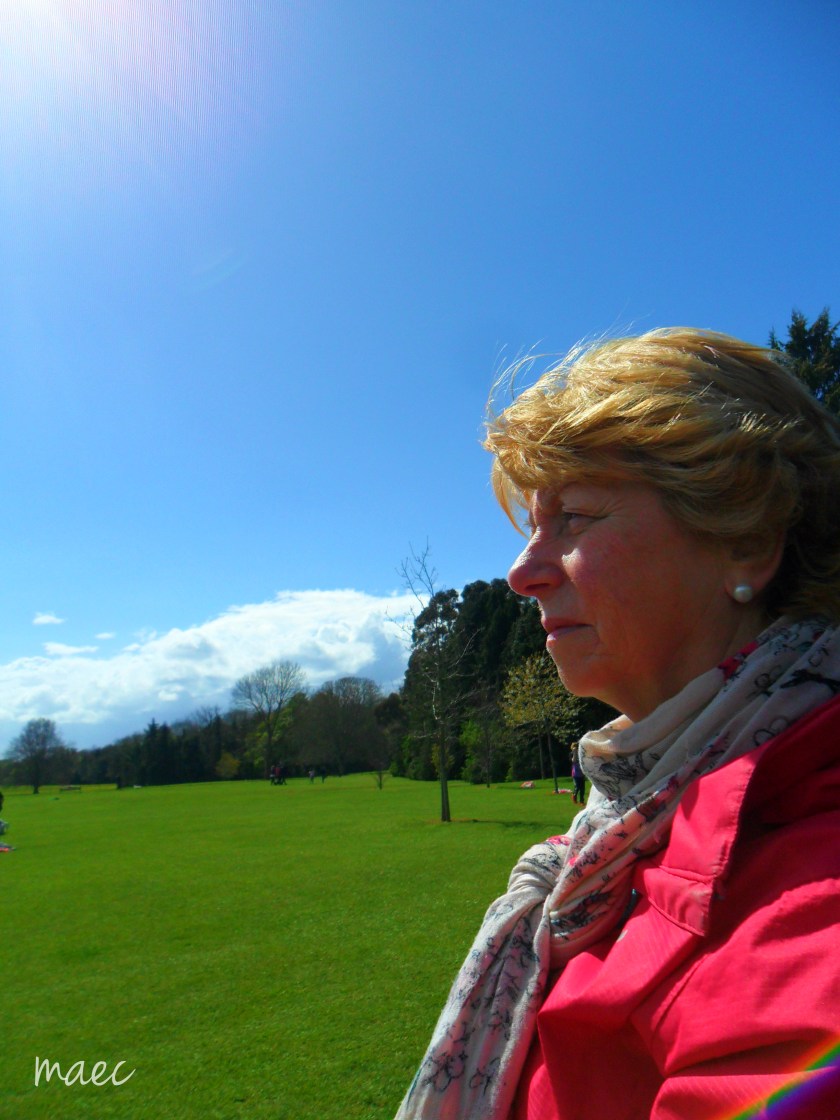 una at the park