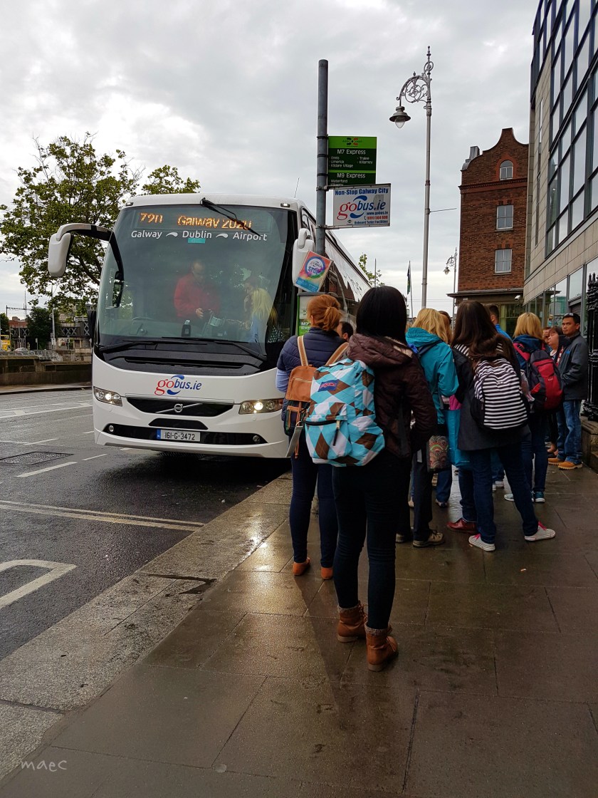 here comes the bus