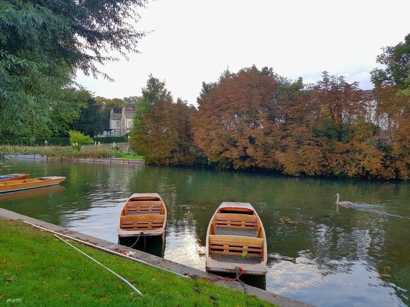 punts